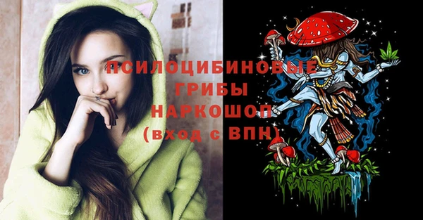 прущая мука Губаха