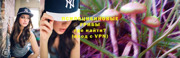 ECSTASY Покровск