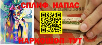 дмт Аргун
