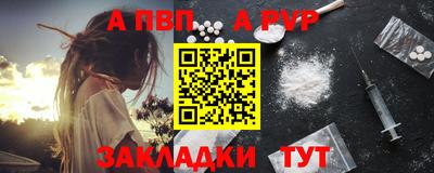 дмт Аргун