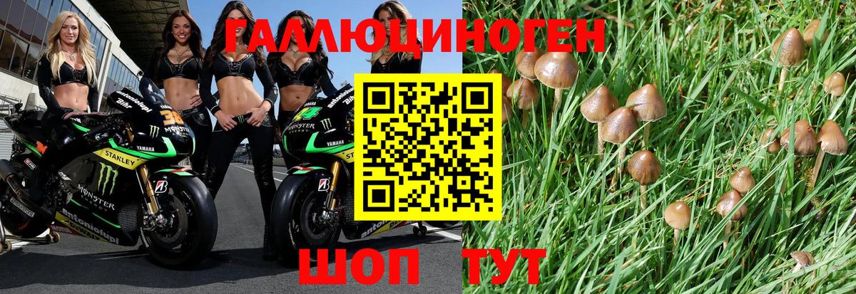 Галлюциногенные грибы мицелий  Луховицы  Псилоцибиновые грибы мицелий 