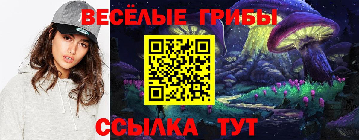 Галлюциногенные грибы ЛСД Луховицы