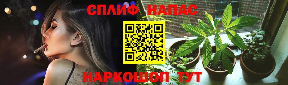 Каннабис SATIVA & INDICA Луховицы